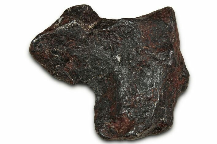 Canyon Diablo Iron Meteorite ( g) - Arizona #356031
